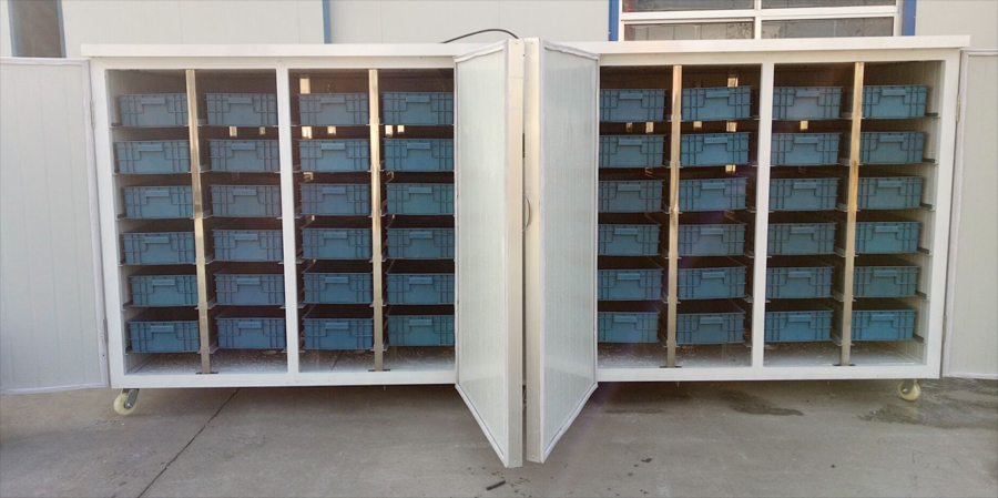 全自動(dòng)花生芽機(jī)