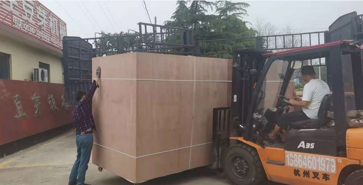 1200不銹鋼豆芽機(jī)發(fā)往葡萄牙