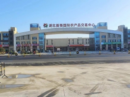 孝感首衡城智慧冷鏈物流A地塊<div   id=